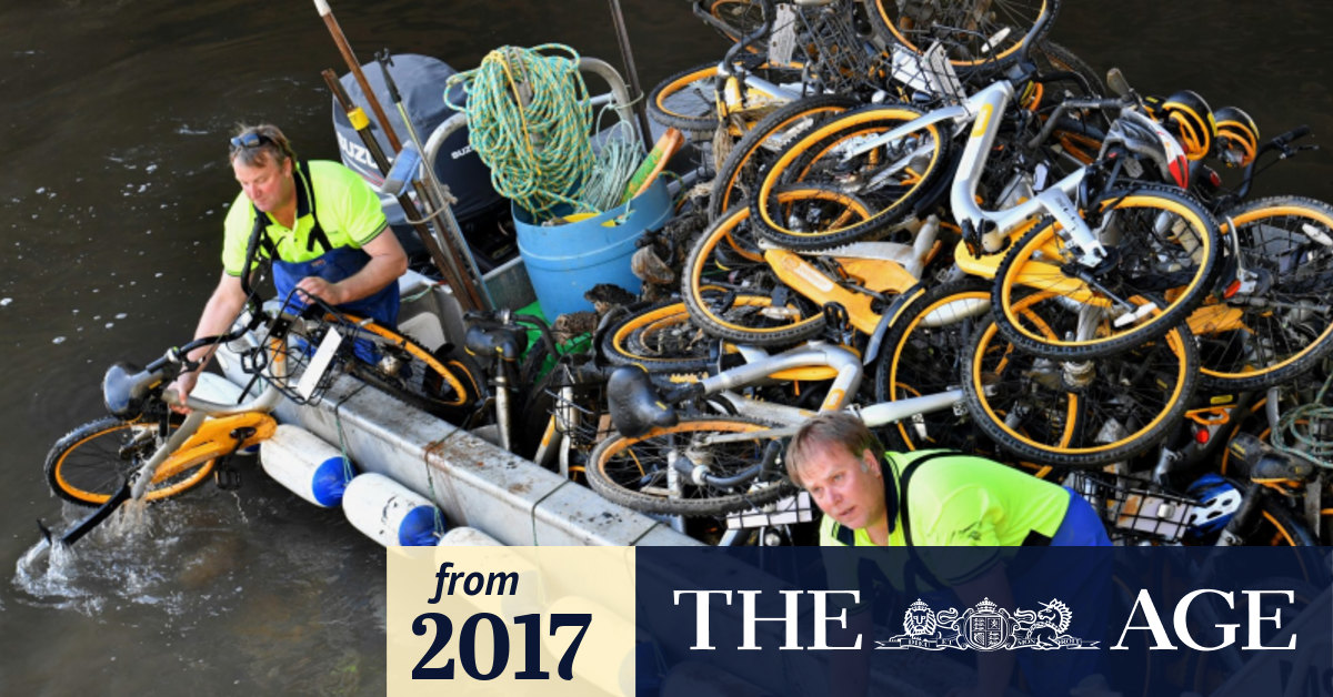 Vermin Dozens of oBikes pulled from Yarra River